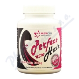 Perfect HAIR new methionin 500mg tbl. 100