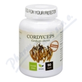 ONG TRÙNG HẠ THẢO Cordyceps PREMIUM 90 viên