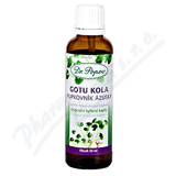 Dr. Popov Kapky bylinn Gotu kola 50ml