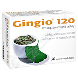 Gingio 120 mg 30 viên