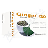 Gingio 120mg 60 viên