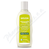 WELEDA Vy�iv. �ampon s prosem norm�ln� vlasy 190ml