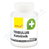 Tribulus Kotvink cps. 120 Wolfberry
