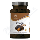 Chaga 500mg cps. 90 Galmed